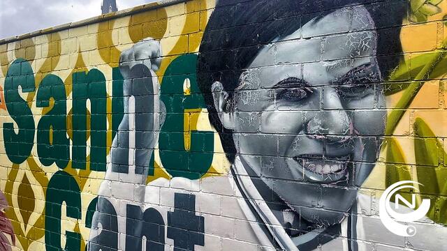 Streetart aan Rode-Kruisstraat met Herentalse wielerhelden verdwijnt al...