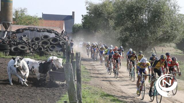 Schaal Sels : Van der Hoorn (NL) haalt Van Aert nog terug en wint - extra foto's