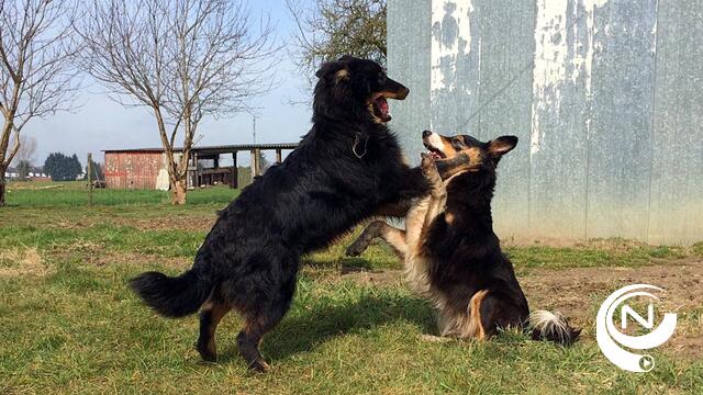 Nim, Hannah en Hasse stellen het prima na vergiftigingspoging