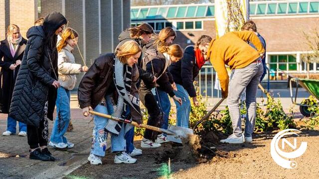 Geëngageerde leerlingen planten hun eigen speelplaats aan - Foto Dieter Daniëls   