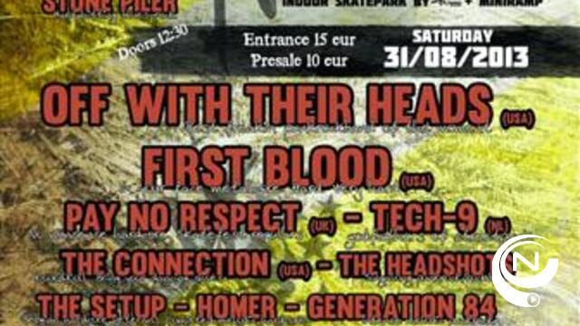 Dertien bands op Skatefest '13