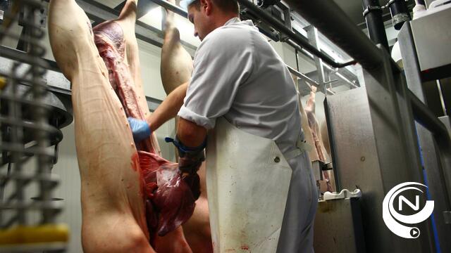 Actiegroep tegen slachthuis Oevel trekt naar Raad van State 