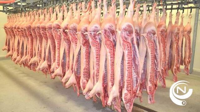 Gemeentebestuur Westerlo geeft negatief advies milieuvergunning nieuw slachthuis 
