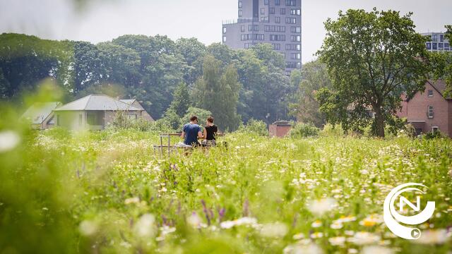 Stadsregio Turnhout verwelkomt Kasterlee en Lille en verandert van naam : "We horen het woord 'stad' niet graag" - reacties