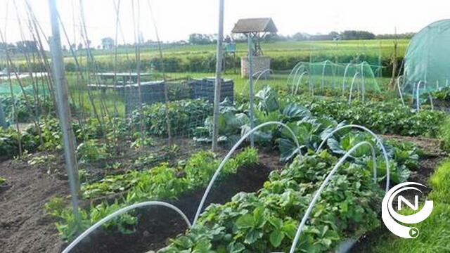 Groen licht voor 8 nieuwe plattelandsprojecten in de provincie Antwerpen