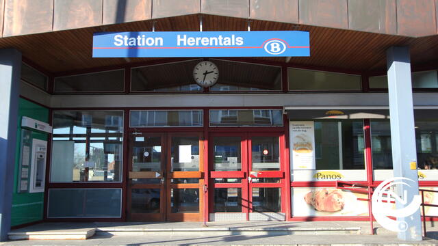 Buurtbewoners Lichtaartseweg gekant tegen 2e spoor Herentals-Tielen, reactie Yoleen Van Camp
