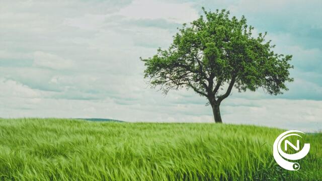 Aanleg sterrenweides in Olen van start