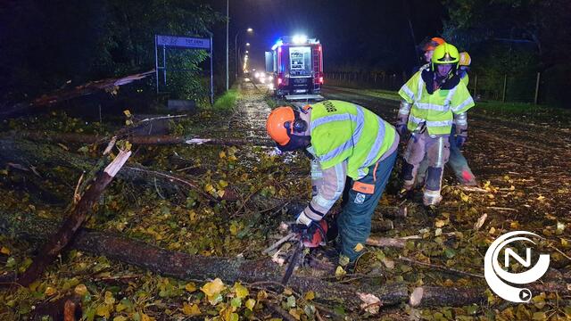  Na een stormachtige week: "uitzonderlijke" schade, al tienduizenden dossiers ingediend bij verzekeraars