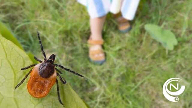 Tekenencefalitis in opmars: tekenbeet kan naast ziekte van Lyme ook hersenontsteking veroorzaken