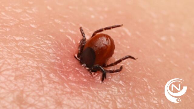 Een op de vijf teken in de tuin kan ziekte van Lyme veroorzaken