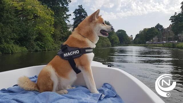 7e dag van het Therapiedier in de Benelux