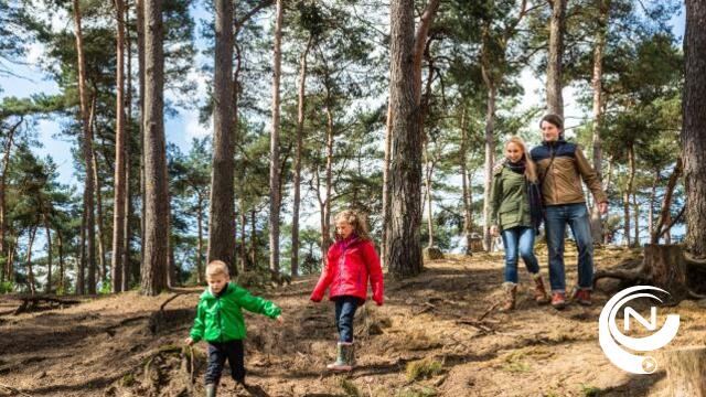Kempen = rust na de rush : 15 topwandelingen en korte vakanties