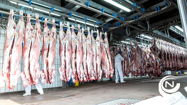 Parket voert sinds januari een opsporingsonderzoek naar Vanlommel Olen (2)