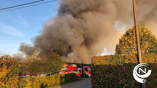 1.700 varkens komen om bij boerderijbrand in Lage Rielen Lichtaart, asbest vrijgekomen