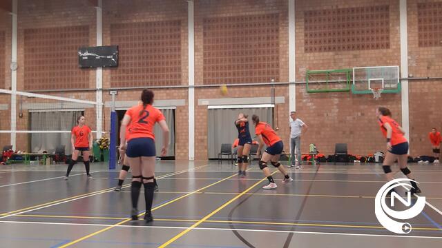 Volleybal : stijdershart en teamspirit VCHH nekken overmoedig Beerse