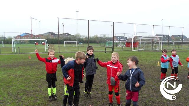 VC Herentals : jeugdtornooi met 62 ploegen dit weekend