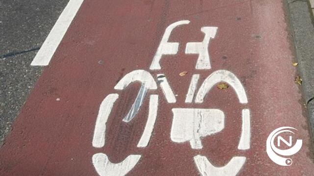 Heist-op-den-Berg fietst voor veilig fietspad langs N10 Lier-Aarschot 