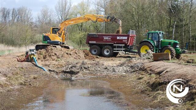 Natuurpunt creëert nieuwe kansen voor grootste Europese specht in Visbeekvallei