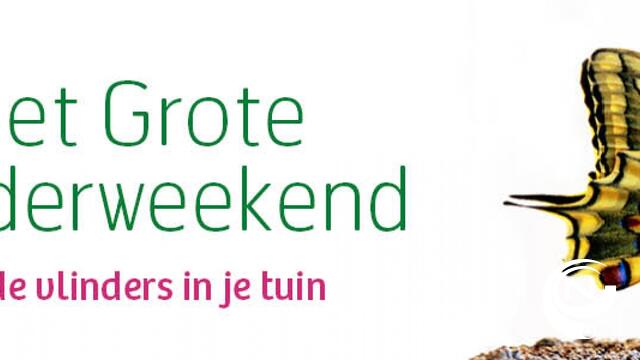 Tel dit weekend vlinders in je tuin tijdens het Grote Vlinderweekend 