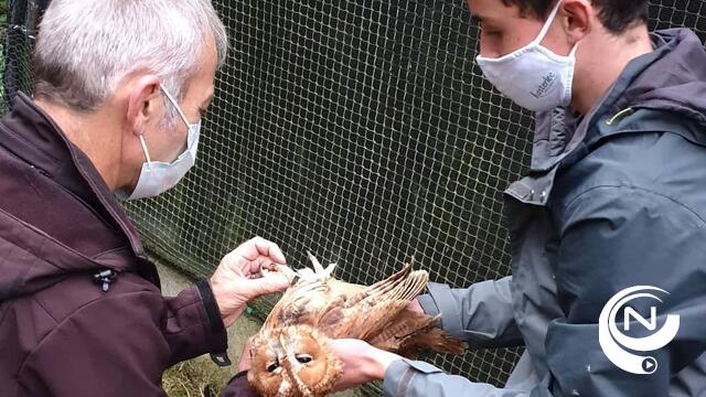 Recordaantal dieren opgevangen in VOC Neteland 