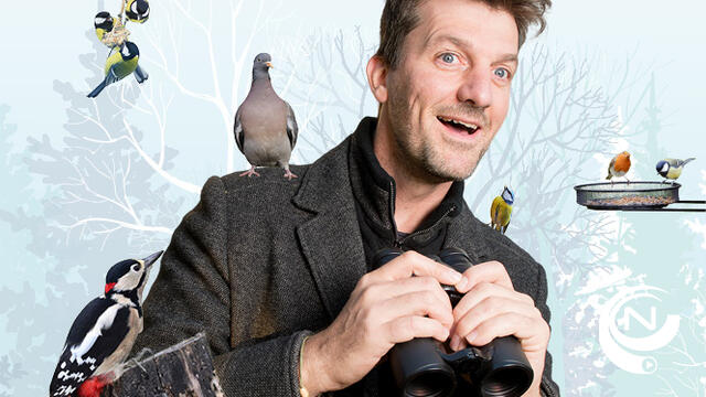 Vrijwilligers tellen vogels in tuinen