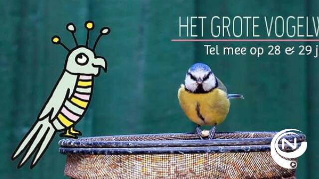 Zaterdag en zondag moet je vogels tellen in de tuin 