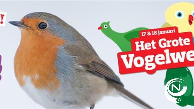 Dit weekend opnieuw Het Grote Vogelweekend