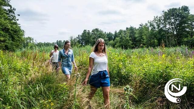 Op mini-expeditie in het Grote Netewoud