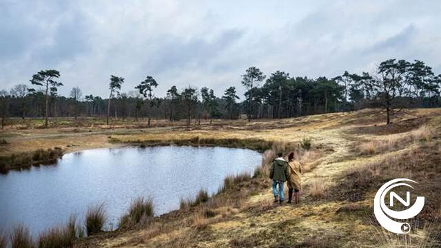 Winterse opkikkers in de Kempen