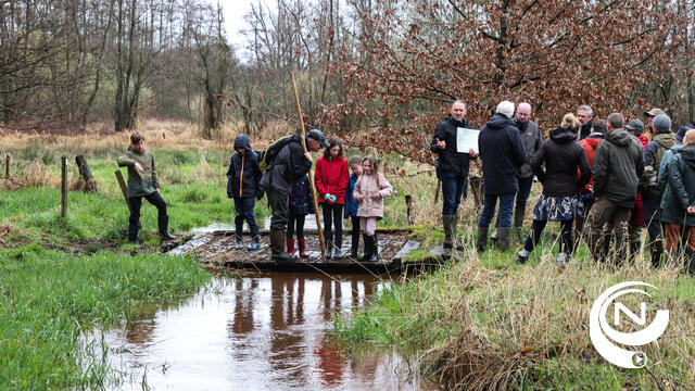 Valleiherstel in de Grote Nete: wandelaars ervaren natte natuurparel ‘De Vennen’