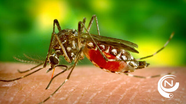  Jonge vrouw (24) uit Balen besmet met zikavirus