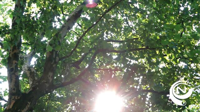 KMI : dinsdag en woensdag code oranje - tot 38°C in de Kempen !