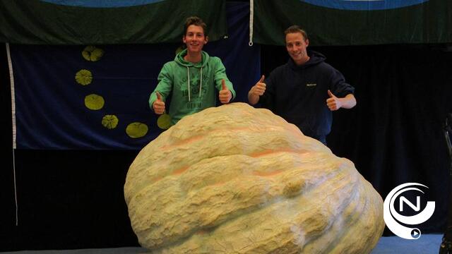 Matthias Willemijns kweekt zwaarste pompoen 
