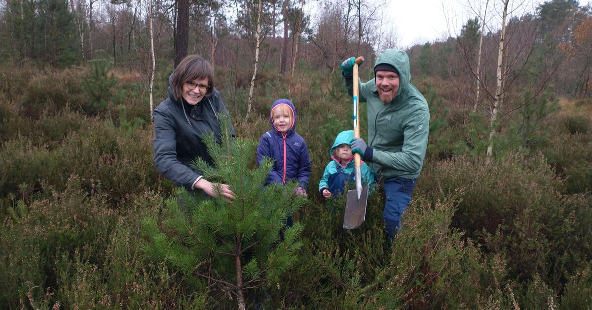 Kerstboom Natuurpunt