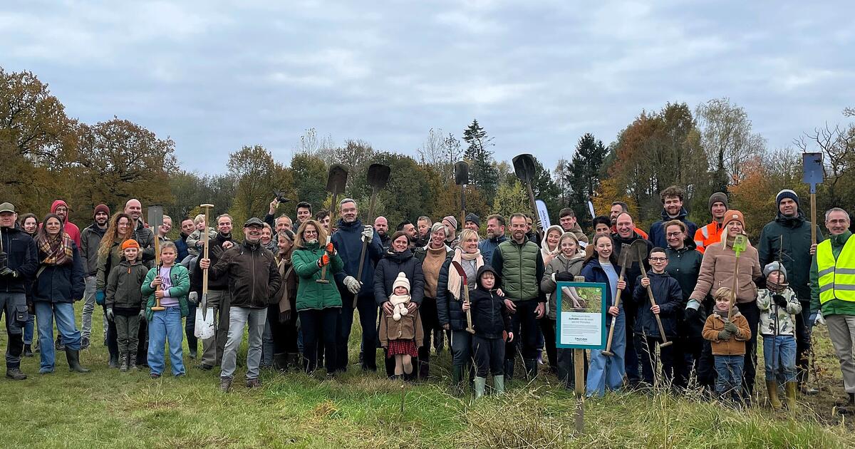Aurubis plantdag met Natuurpunt Turnhout