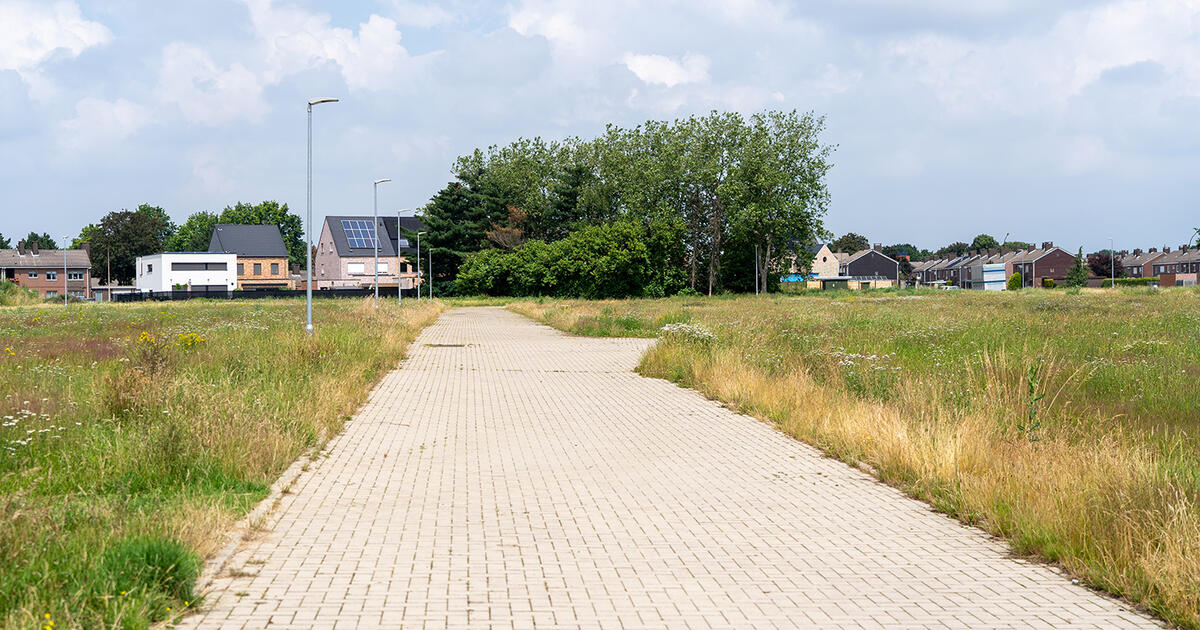 Meuleveld