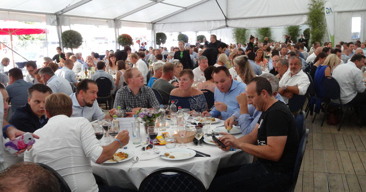 HFF 2014 - archief NNieuws