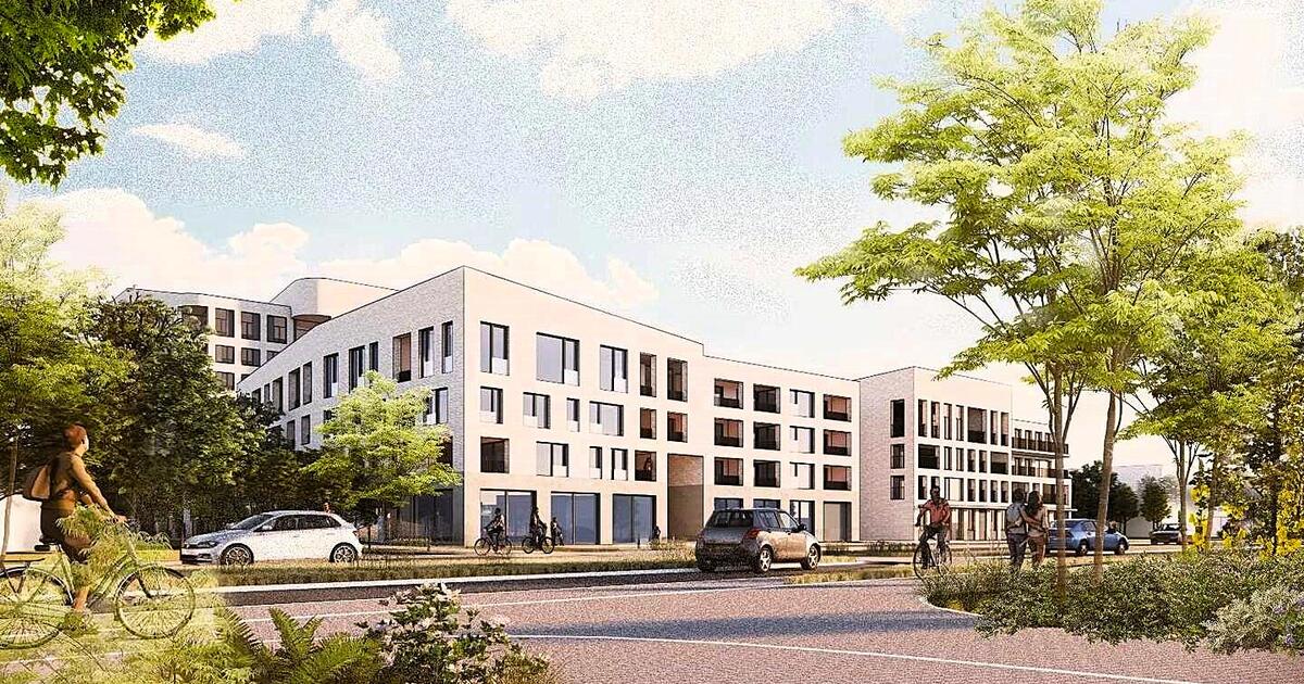 Liersepoort : beeld   Polo.platform 