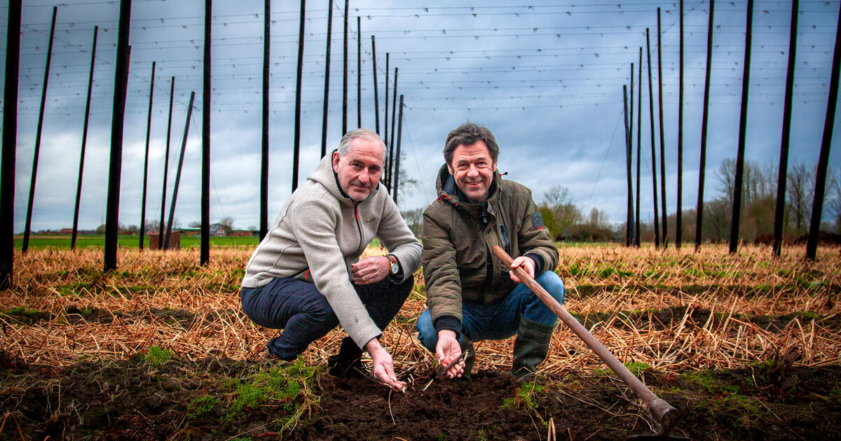  Peter Buelens Brouwerij Palm en Joris Vanderveken Orde van de Groene Bel