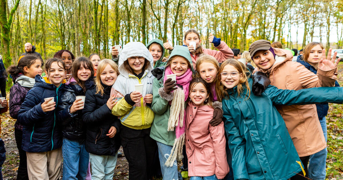Bosgroep