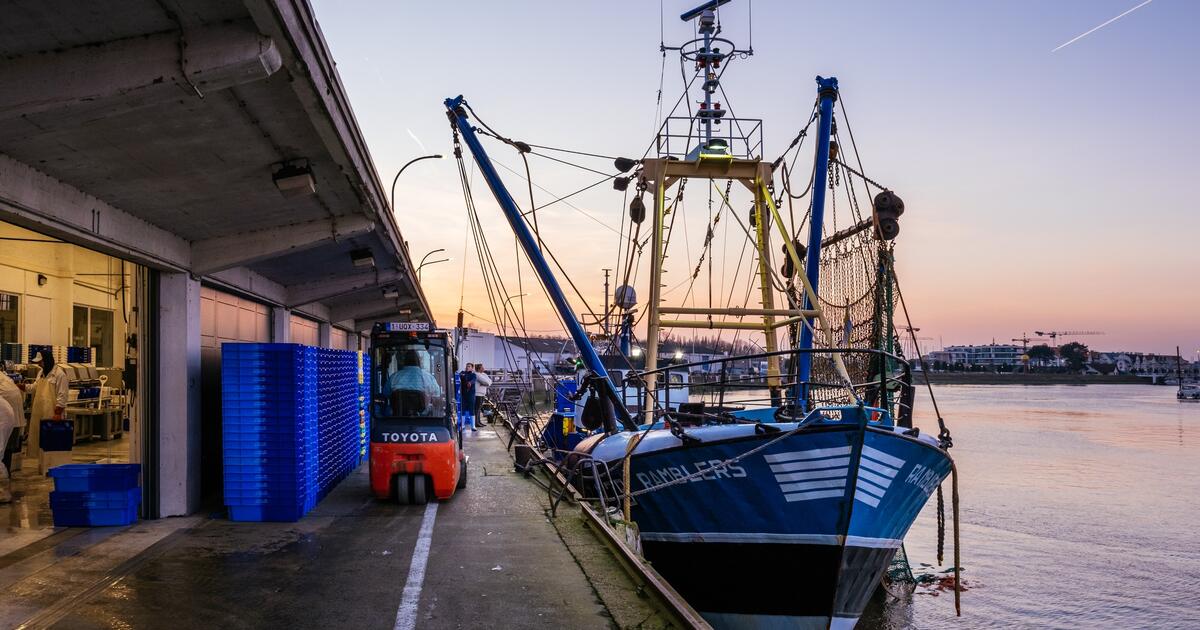 TipsTrips Nieuwpoort vismijn