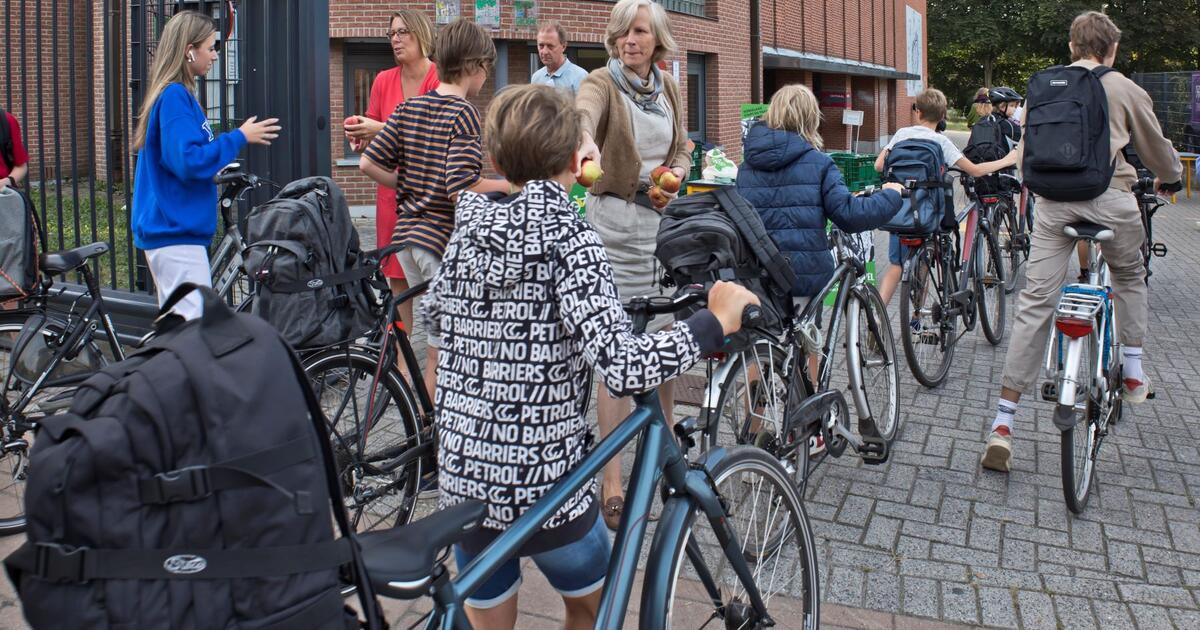 Vorselaar