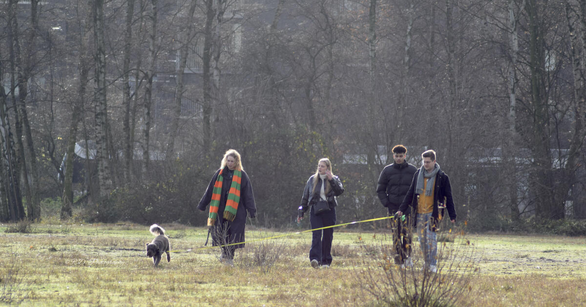 wandelen