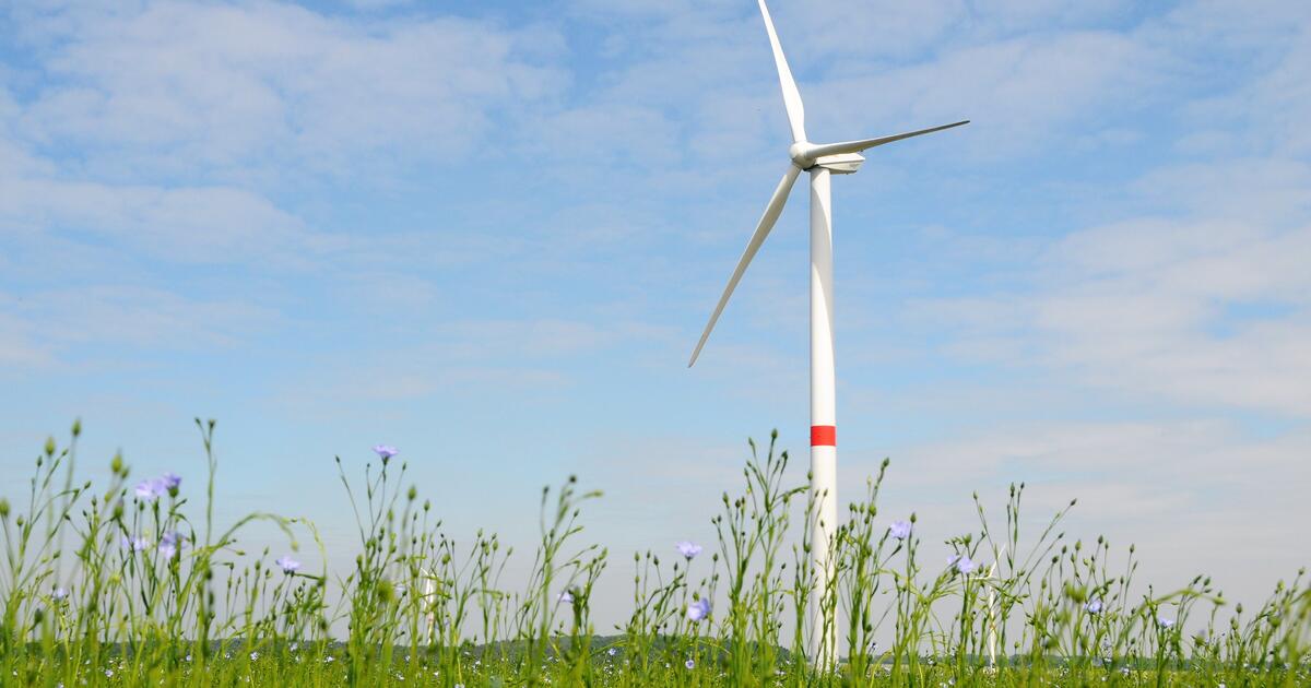 Windmolen Geel - rr