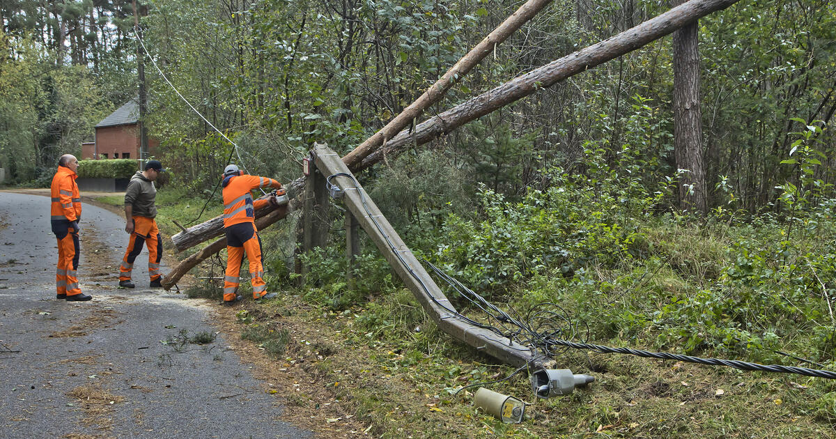 Stormschade Molenbaan - foto Adrie de Kok