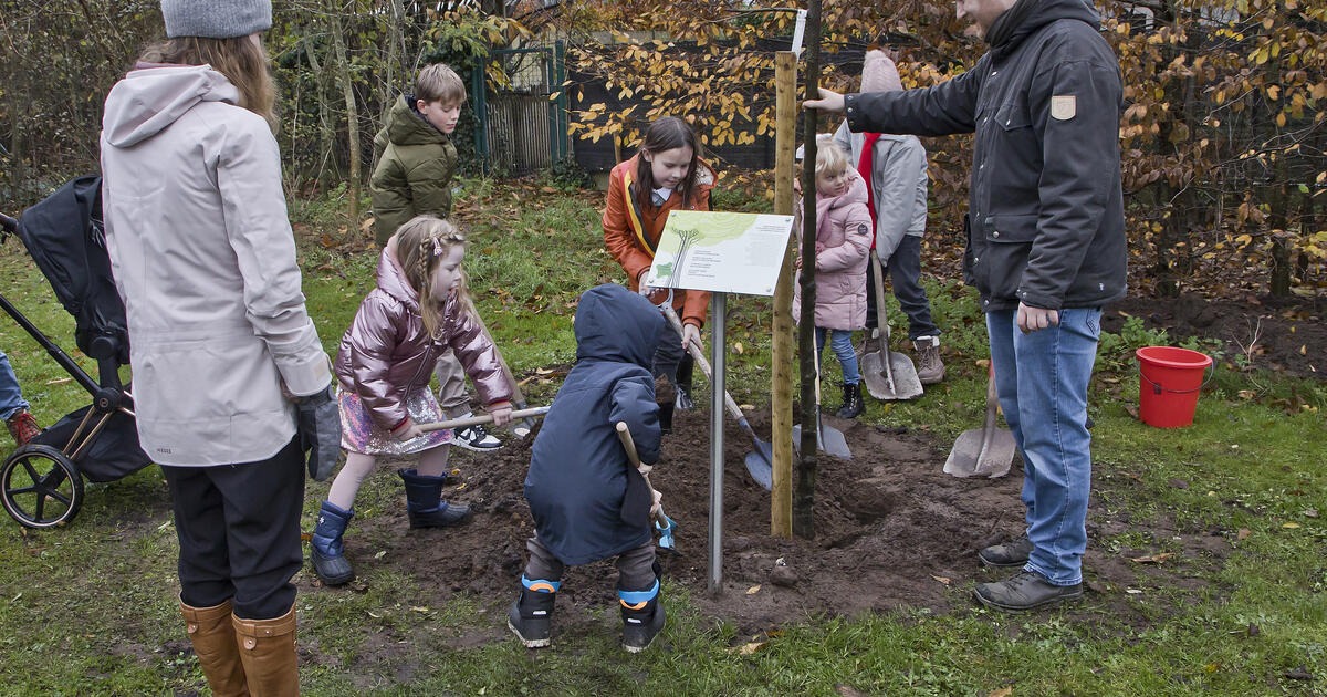 Geboorteboom aan Hildering Vorselaar