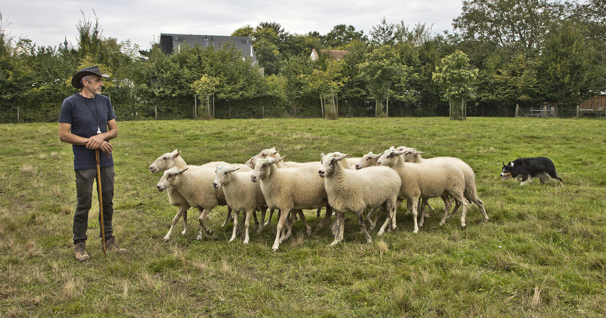 Toeren om te Loeren blijft een succesformule in Vorselaar