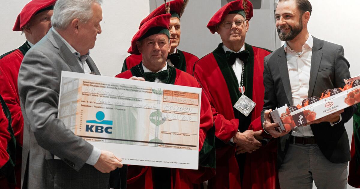 CV Hoogstraten veiling