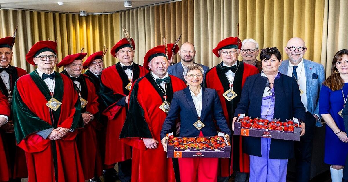 Aardbeien provinciehuis 202503