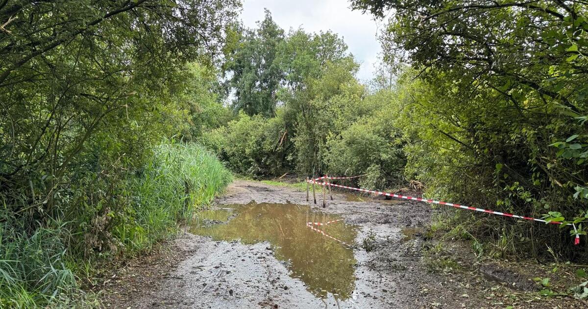 foto gemeente Balen